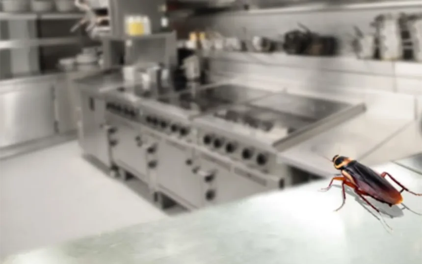 pest_control_food_manufacturing_guardix-Kuwait (14)