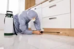 pest_control_food_manufacturing_guardix-Kuwait (3)